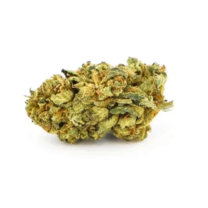 Diesel Tonic (Biologique français) 2024